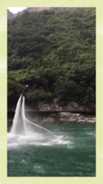 大鹰森林逃生