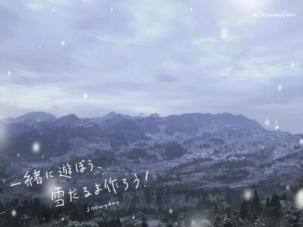 两对新郎开启人生下一段旅程