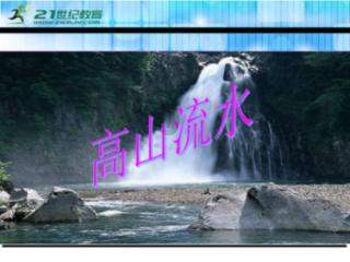 狐尾山公园紫花风铃木盛放 花期持续至下周