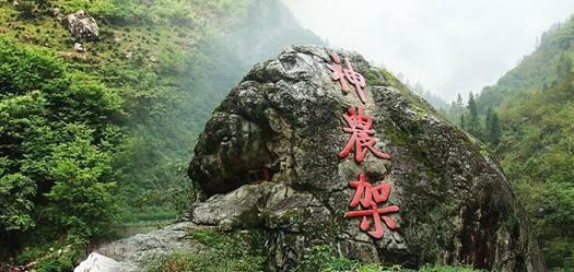 高青黑牛、沂源苹果……淄博120多款年货好物汇聚泉城