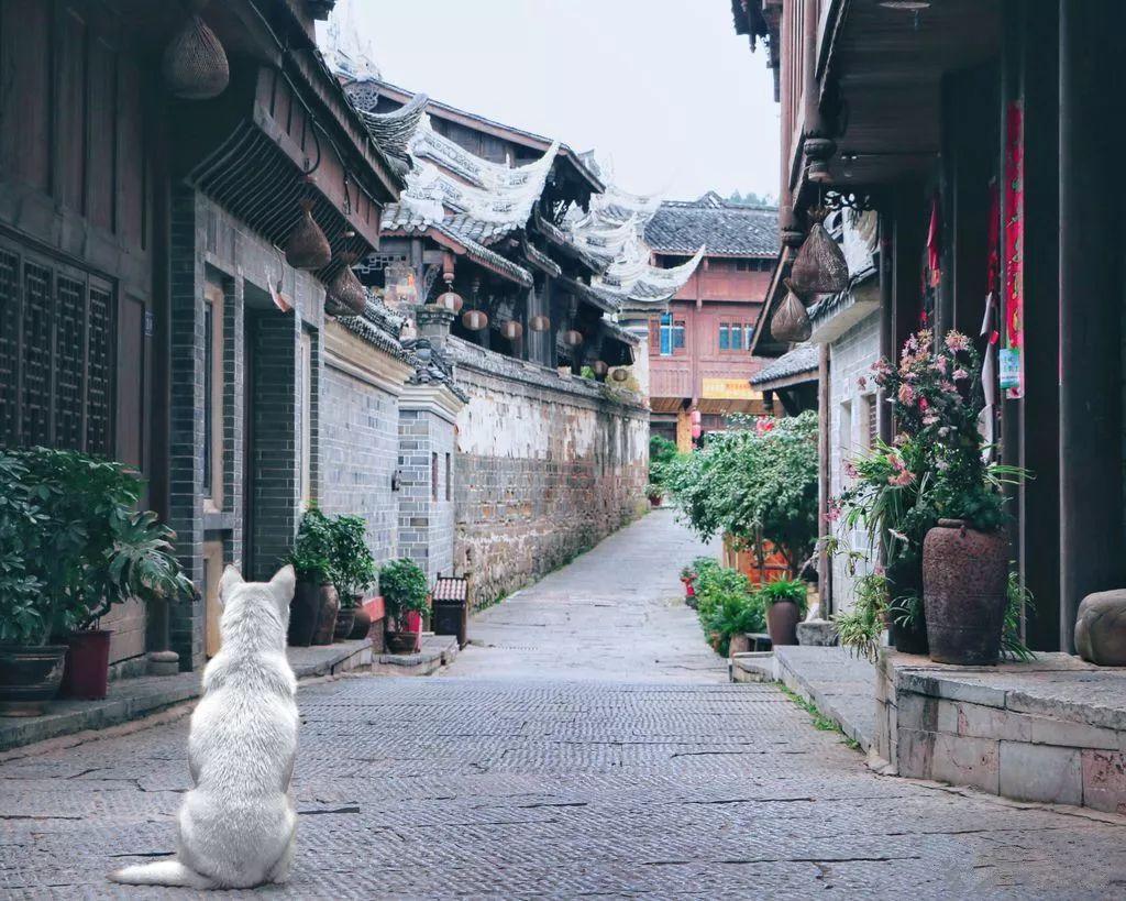 不结婚，老年生活会更幸福吗？游戏画面